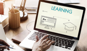 Cours de vocabulaire n°2