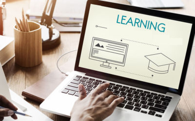 Cours de vocabulaire n°2